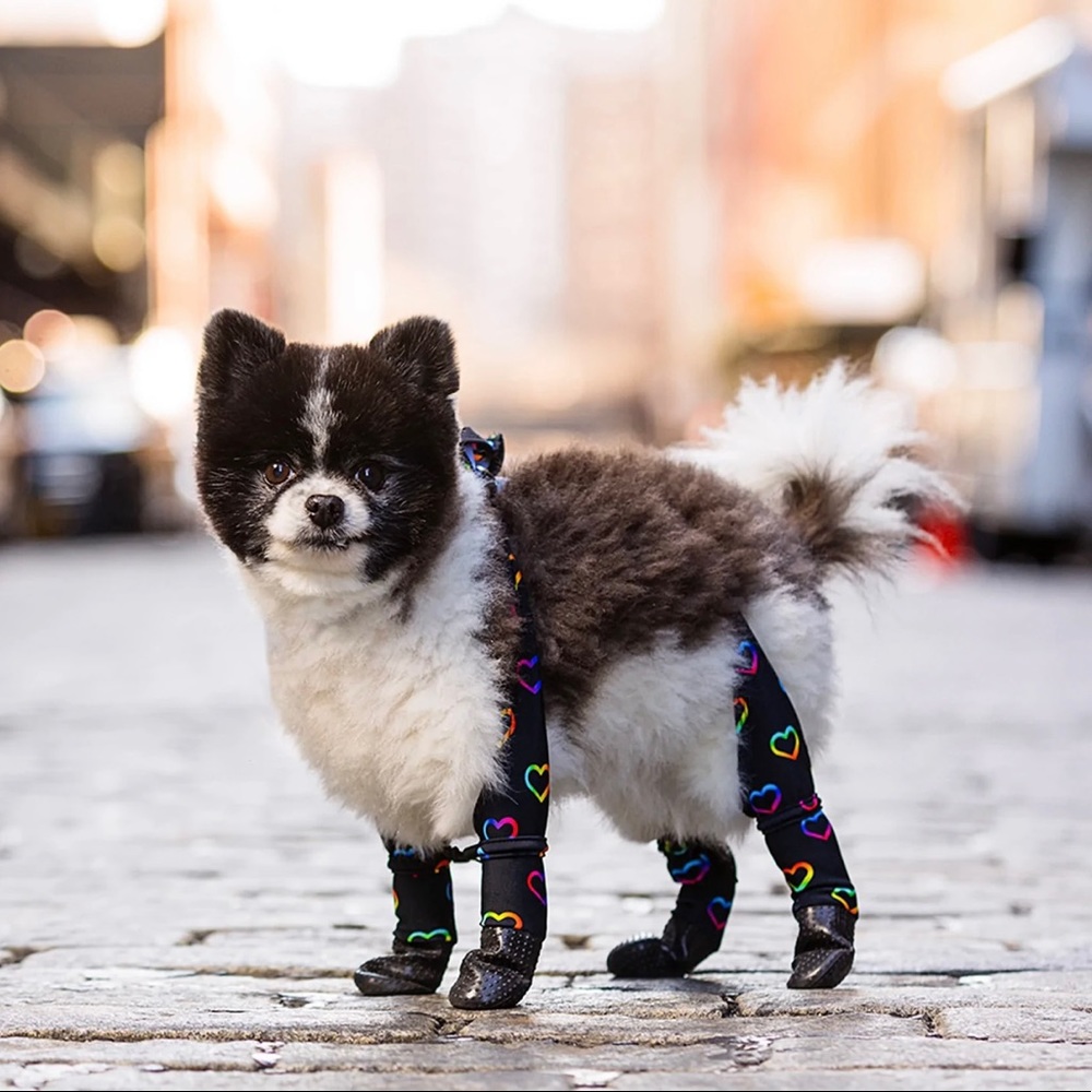 Walkee paws